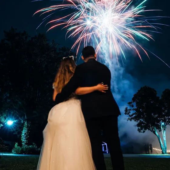 Fuegos artificiales azules y rosados sobre los novios en el prado